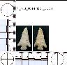     5_MO_0560100_0008-M3.png - Coal Creek Research, Colorado Projectile Point, 5_MO_0560100_0008 (potential grid: #213, Davis Point)
        

