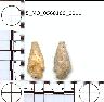 Coal Creek Research, Colorado Projectile Point, 5_MO_0560100_0011 (potential grid: #245, Dry Creek...