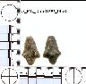 Coal Creek Research, Colorado Projectile Point, 5_MO_0560100_0020 (potential grid: #245, Dry Creek...