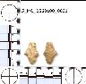     5_MO_0560100_0031-M3.png - Coal Creek Research, Colorado Projectile Point, 5_MO_0560100_0031 (potential grid: #213, Davis Point)
        
