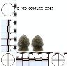     5_MO_0560100_0046-M3.png - Coal Creek Research, Colorado Projectile Point, 5_MO_0560100_0046 (potential grid: #213, Davis Point)
        
