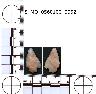     5_MO_0560100_0052-M3.png - Coal Creek Research, Colorado Projectile Point, 5_MO_0560100_0052 (potential grid: #213, Davis Point)
        
