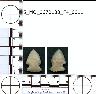 Coal Creek Research, Colorado Projectile Point, 5_MO_0670100_F4_0011 (potential grid: #858, Sand...