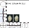     5_MO_0670100_F4_0016-M3.png - Coal Creek Research, Colorado Projectile Point, 5_MO_0670100_F4_0016 (potential grid: #890, Liberty)
        
