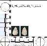 Coal Creek Research, Colorado Projectile Point, 5_MO_0670100_F4_0018 (potential grid: #890,...