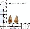     5_MO_0670100_F4_0022-M2.png - Coal Creek Research, Colorado Projectile Point, 5_MO_0670100_F4_0022 (potential grid: #859, Medano Ranch)
        
