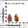     5_MO_0670100_F4_0048-M3.png - Coal Creek Research, Colorado Projectile Point, 5_MO_0670100_F4_0048 (potential grid: #890, Liberty)
        
