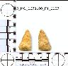 Coal Creek Research, Colorado Projectile Point, 5_MO_0670100_F4_0057 (potential grid: #858, Sand...