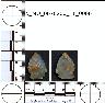     5_MO_0670200_F1_0006-M1.png - Coal Creek Research, Colorado Projectile Point, 5_MO_0670200_F1_0006 (potential grid: #858, Sand Camp)
        
