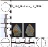     5_MO_0670200_F1_0006-M2.png - Coal Creek Research, Colorado Projectile Point, 5_MO_0670200_F1_0006 (potential grid: #859, Medano Ranch)
        
