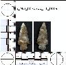     5_MO_0670200_F1_0009-M2.png - Coal Creek Research, Colorado Projectile Point, 5_MO_0670200_F1_0009 (potential grid: #859, Medano Ranch)
        
