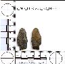     5_MO_0670200_F3_0033-M2.png - Coal Creek Research, Colorado Projectile Point, 5_MO_0670200_F3_0033 (potential grid: #859, Medano Ranch)
        
