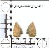     5_MO_0670200_F3_0047-M3.png - Coal Creek Research, Colorado Projectile Point, 5_MO_0670200_F3_0047 (potential grid: #890, Liberty)
        
