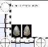     5_MO_0700200_0179.png - Coal Creek Research, Colorado Projectile Point, 5_MO_0700200_0179
        
