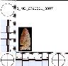 Coal Creek Research, Colorado Projectile Point, 5_MO_0790201_0007 (potential grid: #130, Sheepherder...