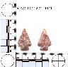 Coal Creek Research, Colorado Projectile Point, 5_NC_0010201_0021 (potential grid: #1192, South...