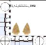 Coal Creek Research, Colorado Projectile Point, 5_NC_0020201_0002 (potential grid: #1444,...