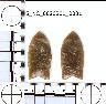 Coal Creek Research, Colorado Projectile Point, 5_NC_0020201_0031 (potential grid: #1445,...