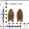 Coal Creek Research, Colorado Projectile Point, 5_NC_0020201_0031 (potential grid: #1476, Sterling...
