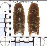 Coal Creek Research, Colorado Projectile Point, 5_NC_0020201_0032 (potential grid: #1444,...