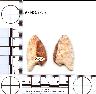 Coal Creek Research, Colorado Projectile Point, 5GN857.3