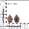 Coal Creek Research, Colorado Projectile Point, 5JF321.13811