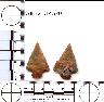 Coal Creek Research, Colorado Projectile Point, 5JF321.14570