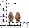     5JF321.17901.png - Coal Creek Research, Colorado Projectile Point, 5JF321.17901
        
