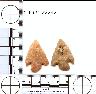 Coal Creek Research, Colorado Projectile Point, 5JF321.22242