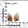     5JF321.32855.png - Coal Creek Research, Colorado Projectile Point, 5JF321.32855
        
