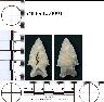 Coal Creek Research, Colorado Projectile Point, 5MF8940.0001