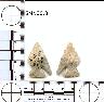    5MN38.8.png - Coal Creek Research, Colorado Projectile Point, 5MN38.8
        
