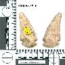 Coal Creek Research, Colorado Projectile Point, 5MN868.5826