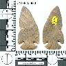 Coal Creek Research, Colorado Projectile Point, 5MN868.5830