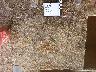     41SM490-39.tif 
        
