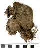     amnh-29-0-7620a.jpg - Perishable: Cotton Cloth AMNH 29.0-7620
        
