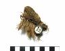     amnh-29-0-7729a.jpg - Perishable: Yucca Yarn AMNH 29.0/7729
        
