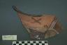     pm20775.jpg - #501, Vessel
        
