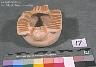     c883.jpg 
        
