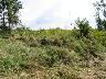     105_0548.JPG - 105_0548
        
