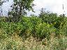     105_0550.JPG - 105_0550
        
