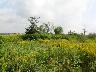     105_0551.JPG - 105_0551
        
