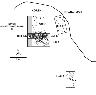     figure-4-13.jpg - Plan of Sonai Rockshelter
        
