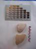     ithaca-pottery-excavation-064.jpg 
        
