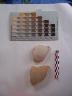     ithaca-pottery-excavation-065.jpg 
        
