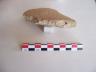     ithaca-pottery-excavation-067.jpg 
        

